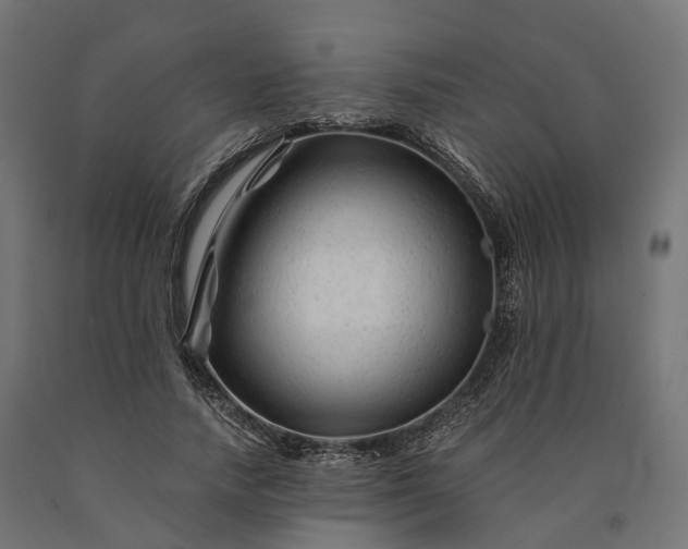 X0000090760738200708031630