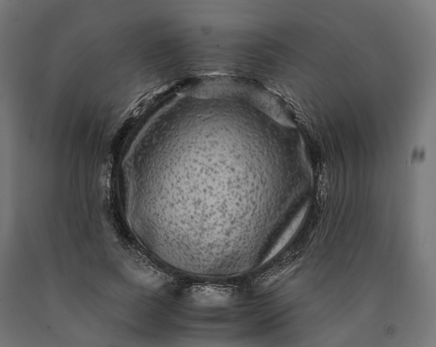 X0000090760739200708031630