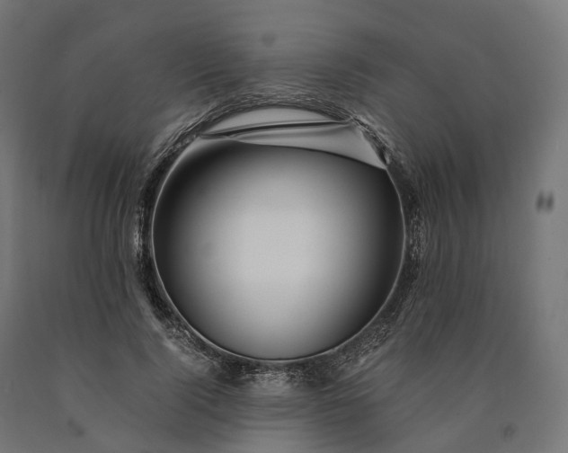 X0000090760740200708031630