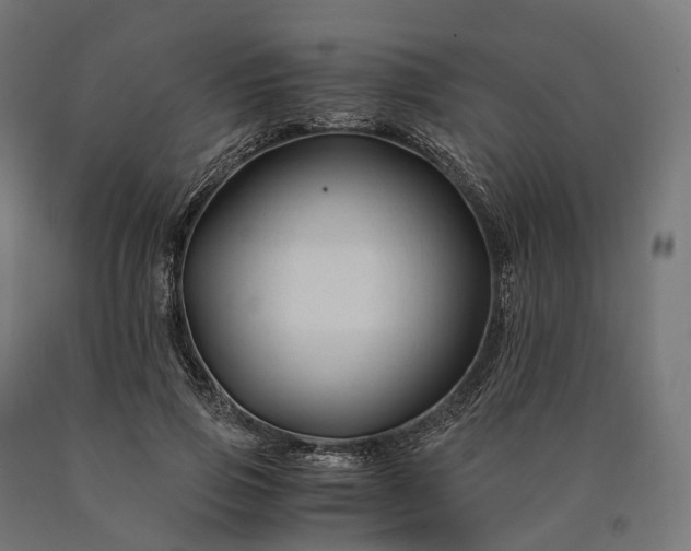 X0000090760741200708031630