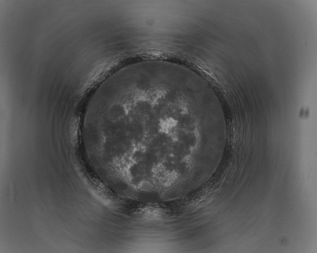 X0000090760742200708031630