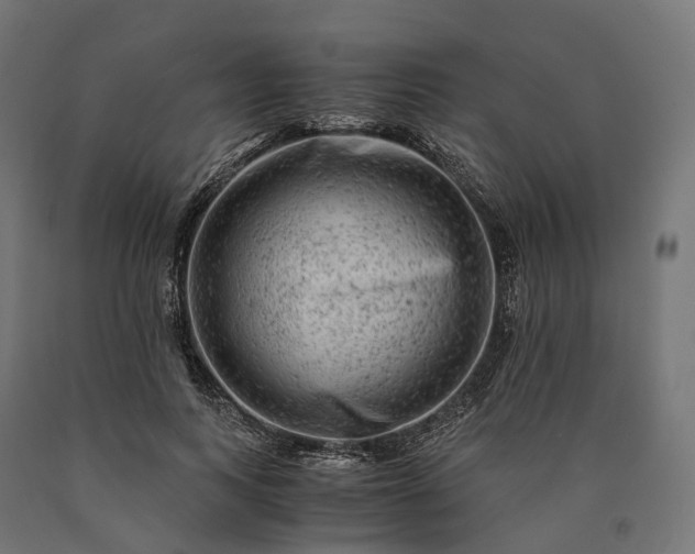 X0000090760743200708031630