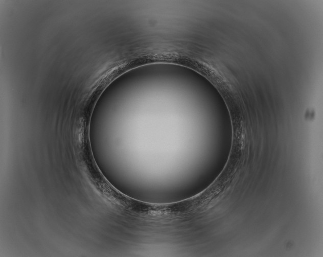 X0000090760744200708031630