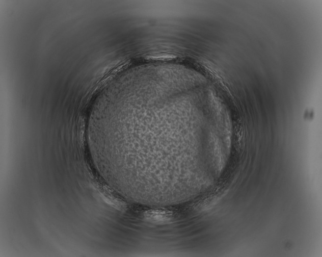 X0000090760745200708031630