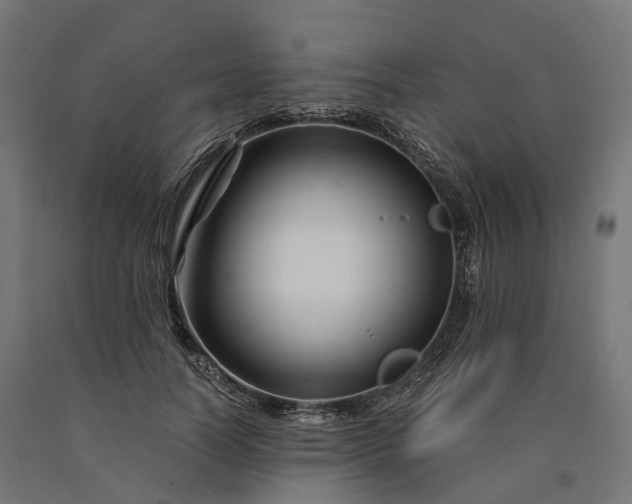 X0000090760746200708031630