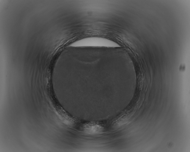 X0000090760747200708031630