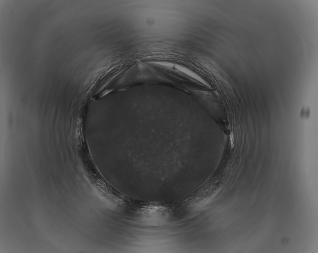 X0000090760748200708031630