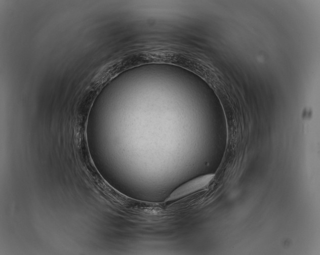 X0000090760749200708031630