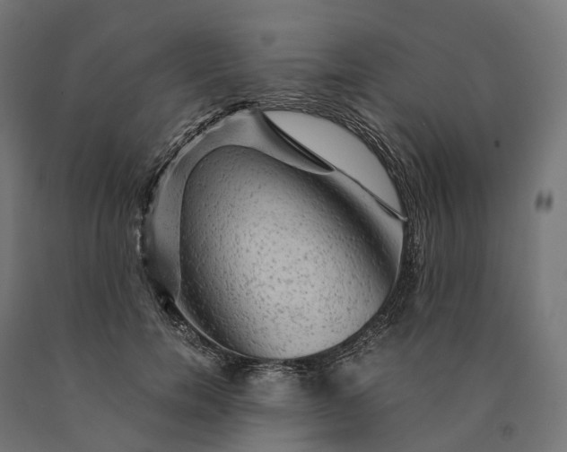 X0000090760750200708031630