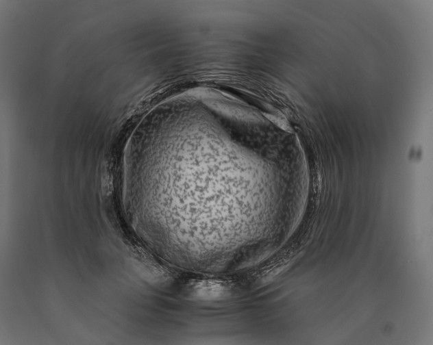 X0000090760751200708031630