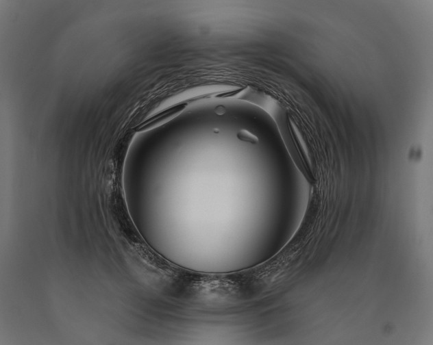 X0000090760752200708031630