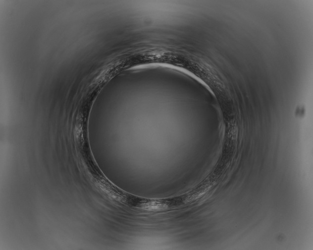 X0000090760754200708031630