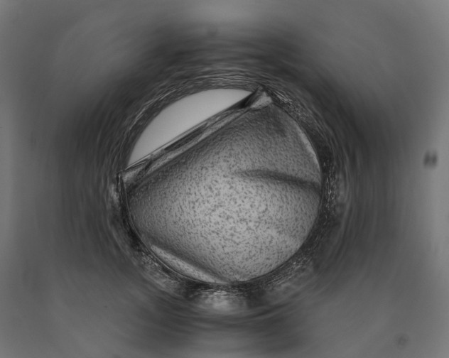 X0000090760755200708031630