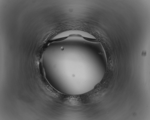 X0000090760756200708031630