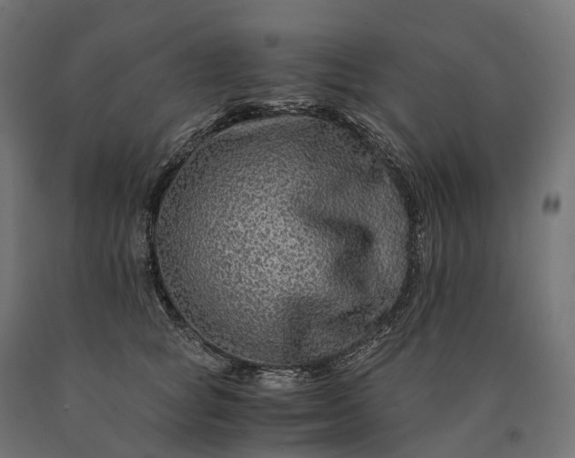 X0000090760757200708031630