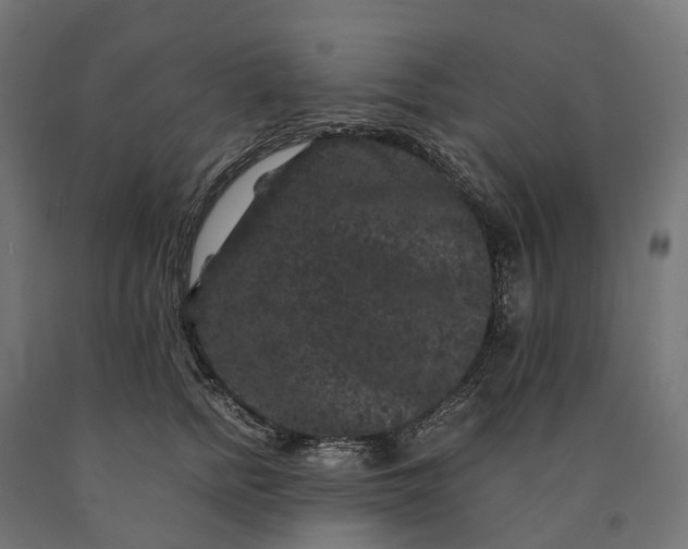 X0000090760758200708031630