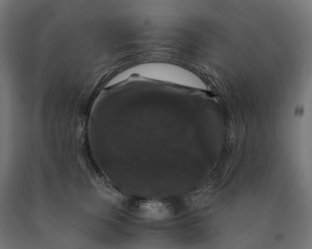 X0000090760759200708031630