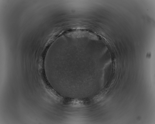 X0000090760760200708031630