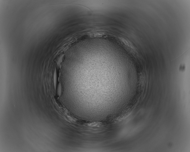 X0000090760761200708031630