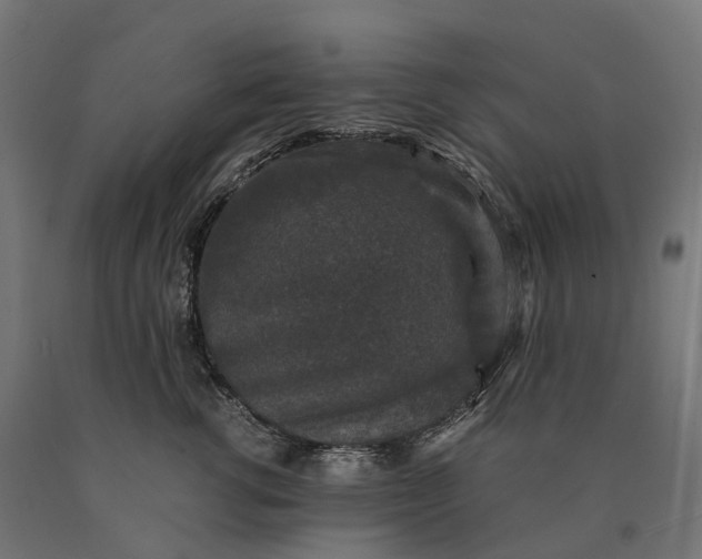 X0000090760762200708031630