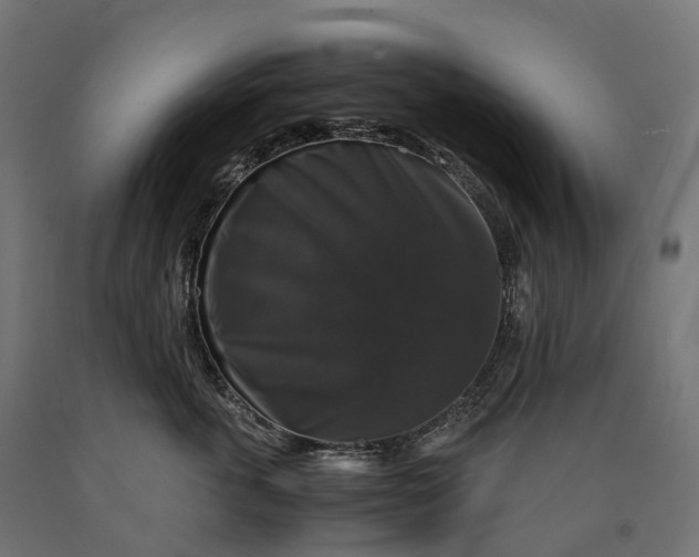 X0000090760763200708031630