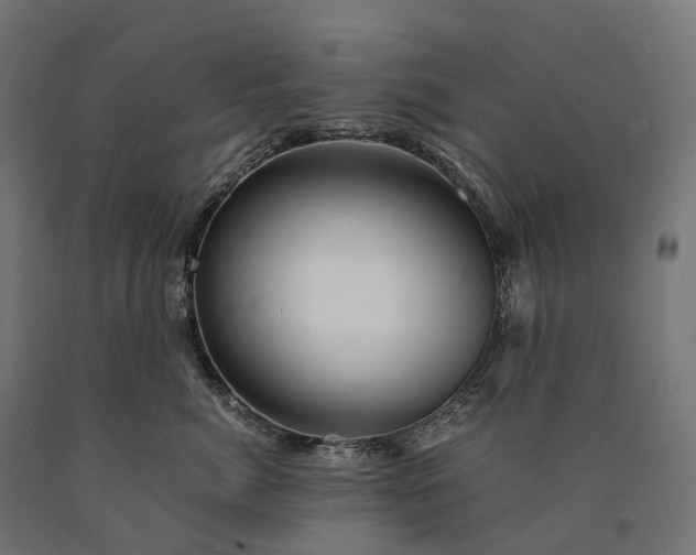 X0000090760764200708031630