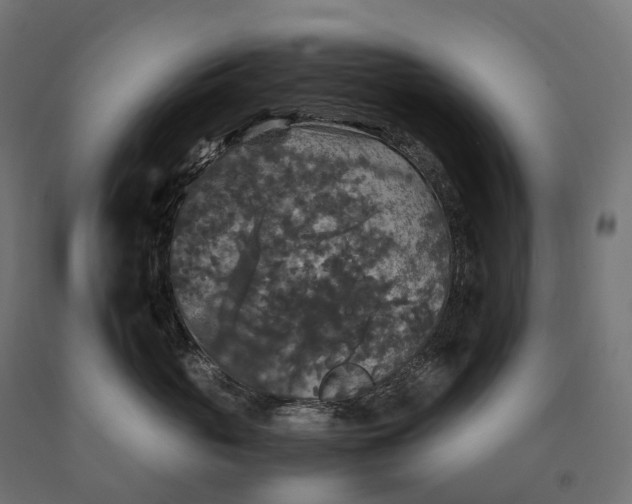 X0000090760765200708031630