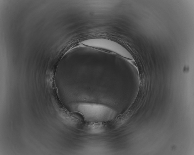 X0000090760767200708031630