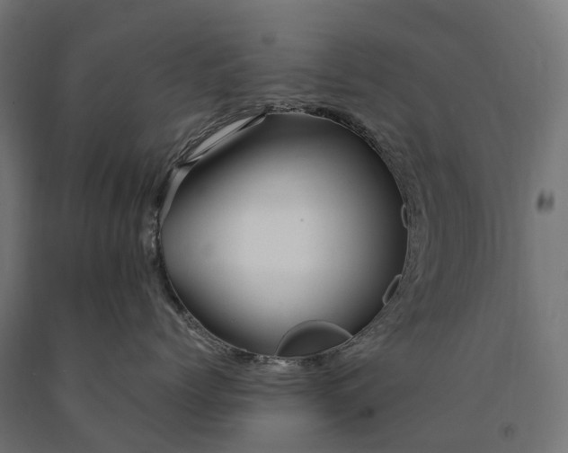 X0000090760768200708031630