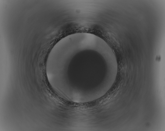 X0000090760769200708031629