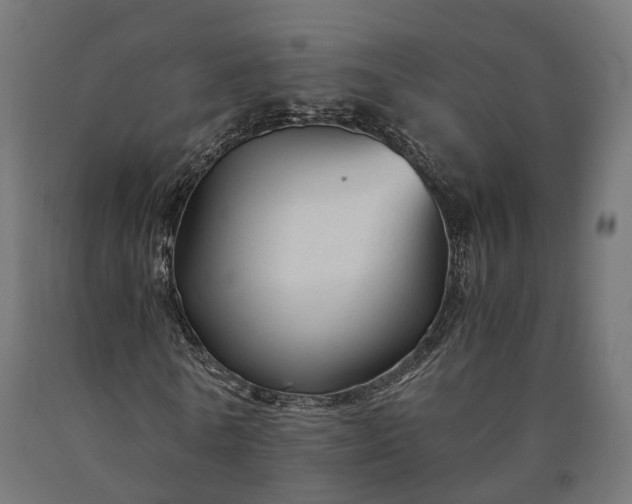 X0000090760770200708031629