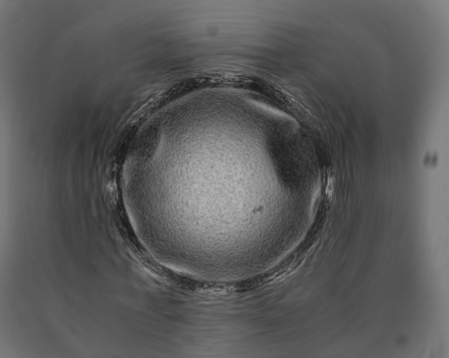 X0000090760771200708031629