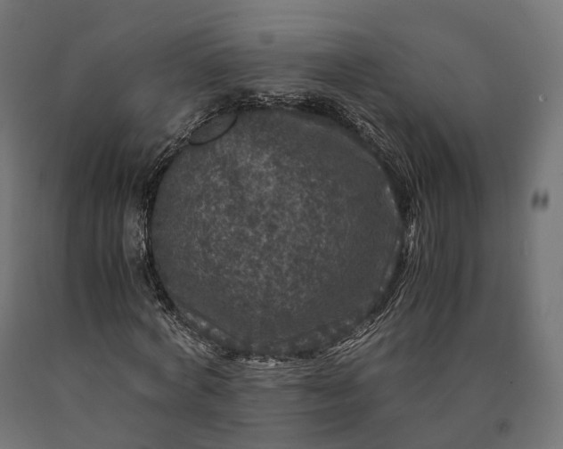 X0000090760772200708031629