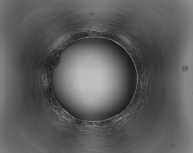 X0000090760774200708031629