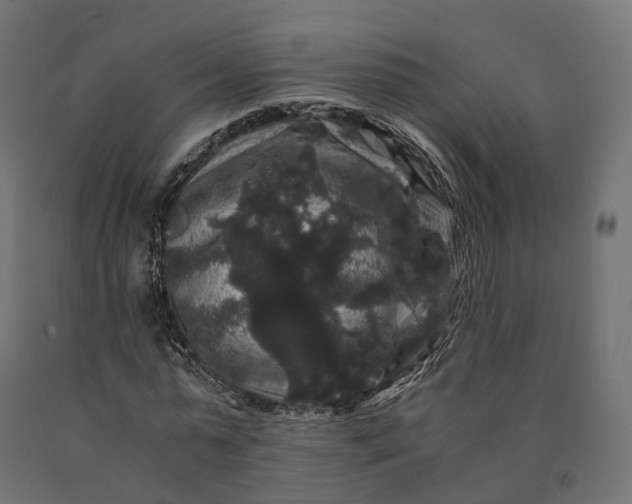 X0000090760775200708031629