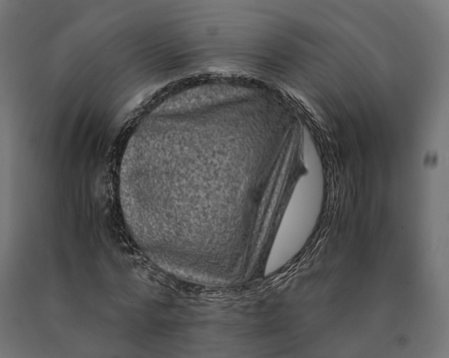 X0000090760776200708031629