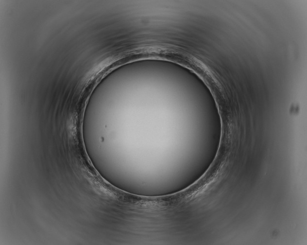 X0000090760778200708031629