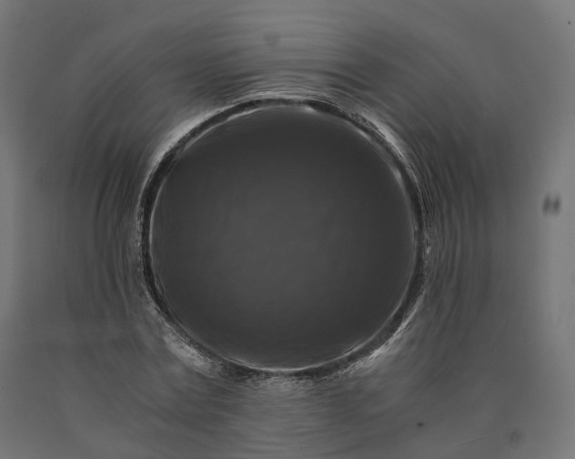 X0000090760779200708031629