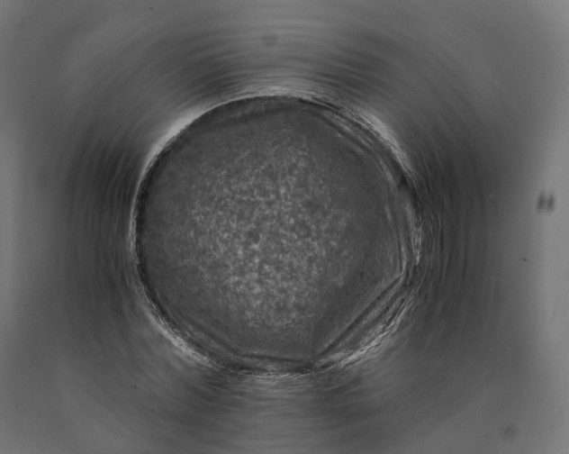 X0000090760780200708031629