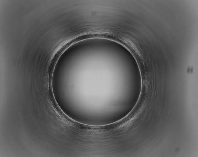 X0000090760781200708031629