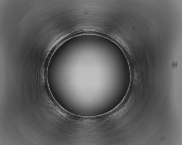 X0000090760782200708031629