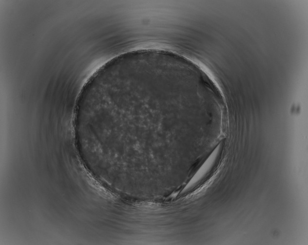 X0000090760783200708031629