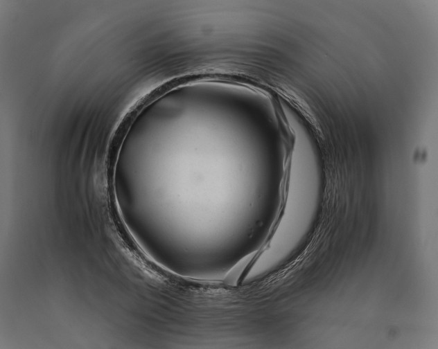 X0000090760784200708031629