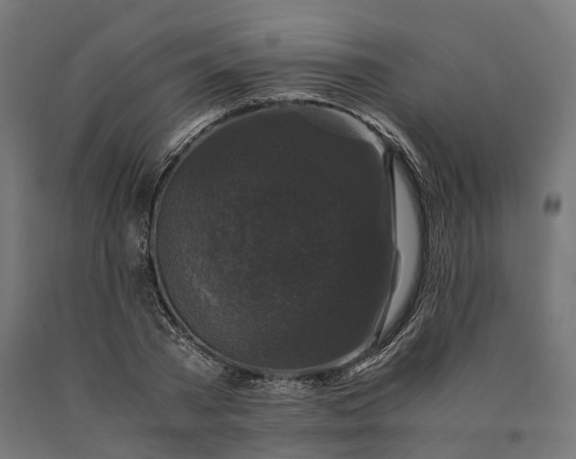 X0000090760785200708031629