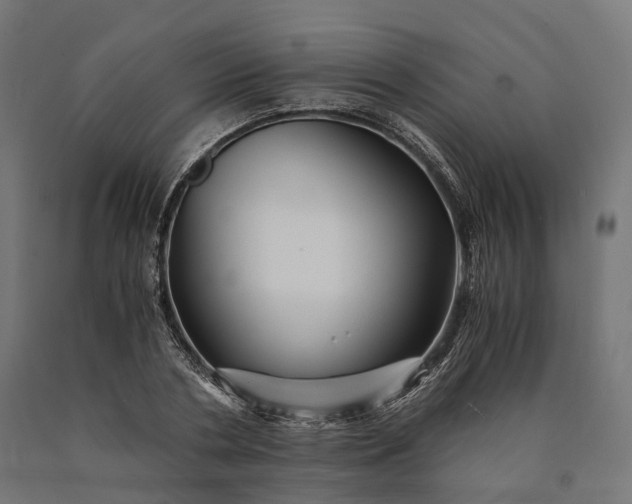 X0000090760786200708031629