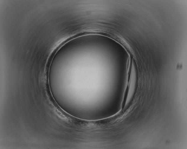 X0000090760787200708031629