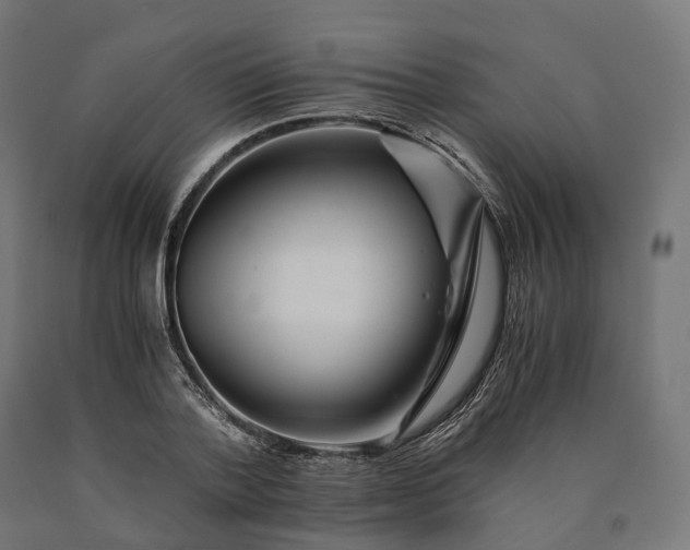 X0000090760788200708031629