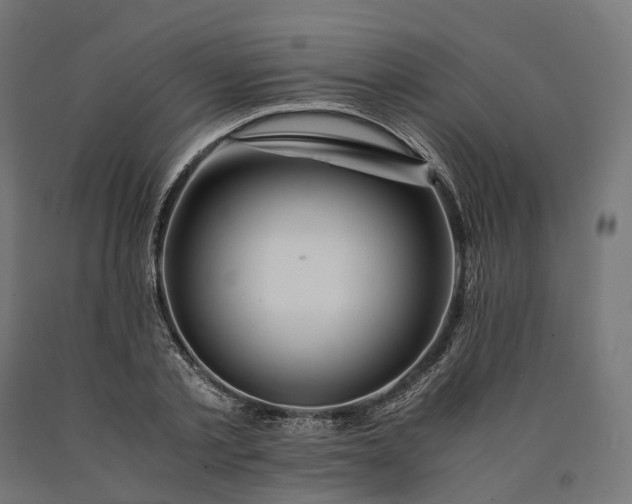 X0000090760789200708031629