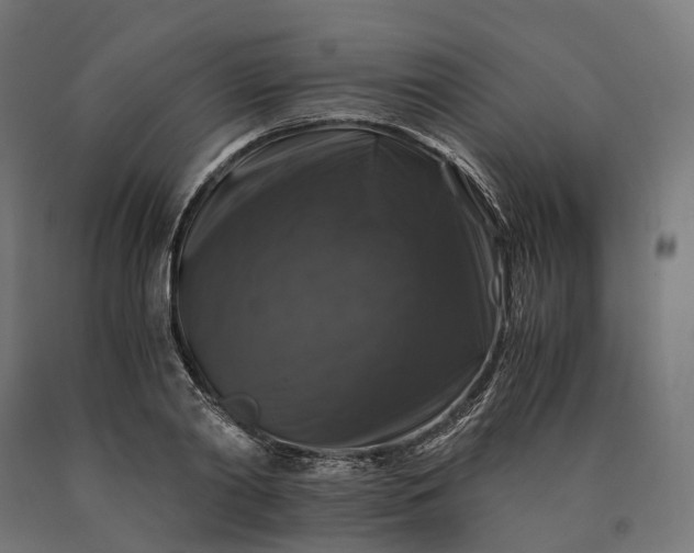 X0000090760790200708031629