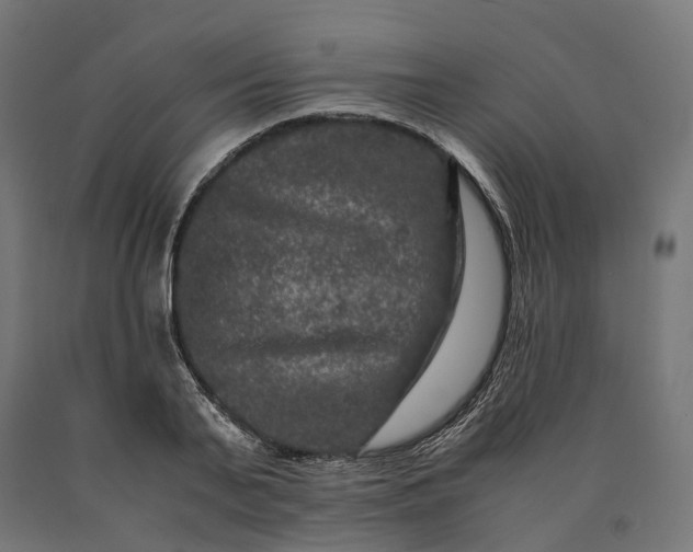 X0000090760791200708031629